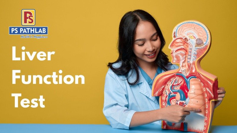 Liver Function Test (LFT) Guide – Symptoms, Normal Range, Cost & Home Collection | PS Path Lab