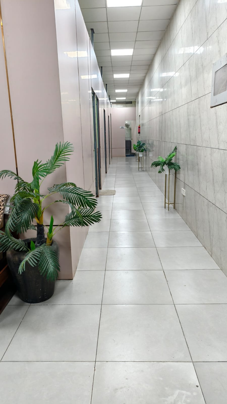 PS PATH LAB PITAMPURA Photo 4