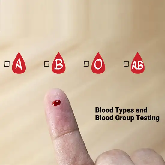 BLOOD GROUP (ABO & RH FACTOR)